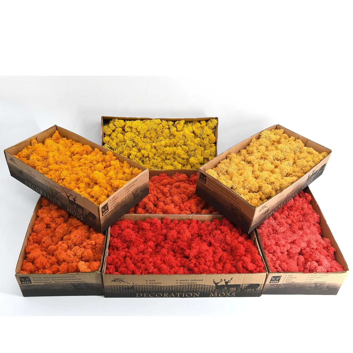 konserviertes moos muschio stabilizzante natural preservado musgo moss