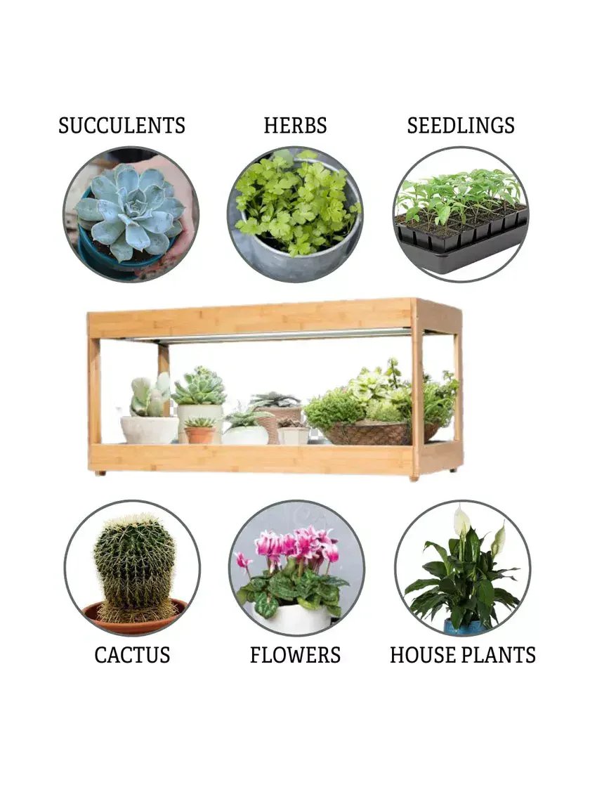 Factory Price Ultra-Bright LED Grow Light for low-growing herbs