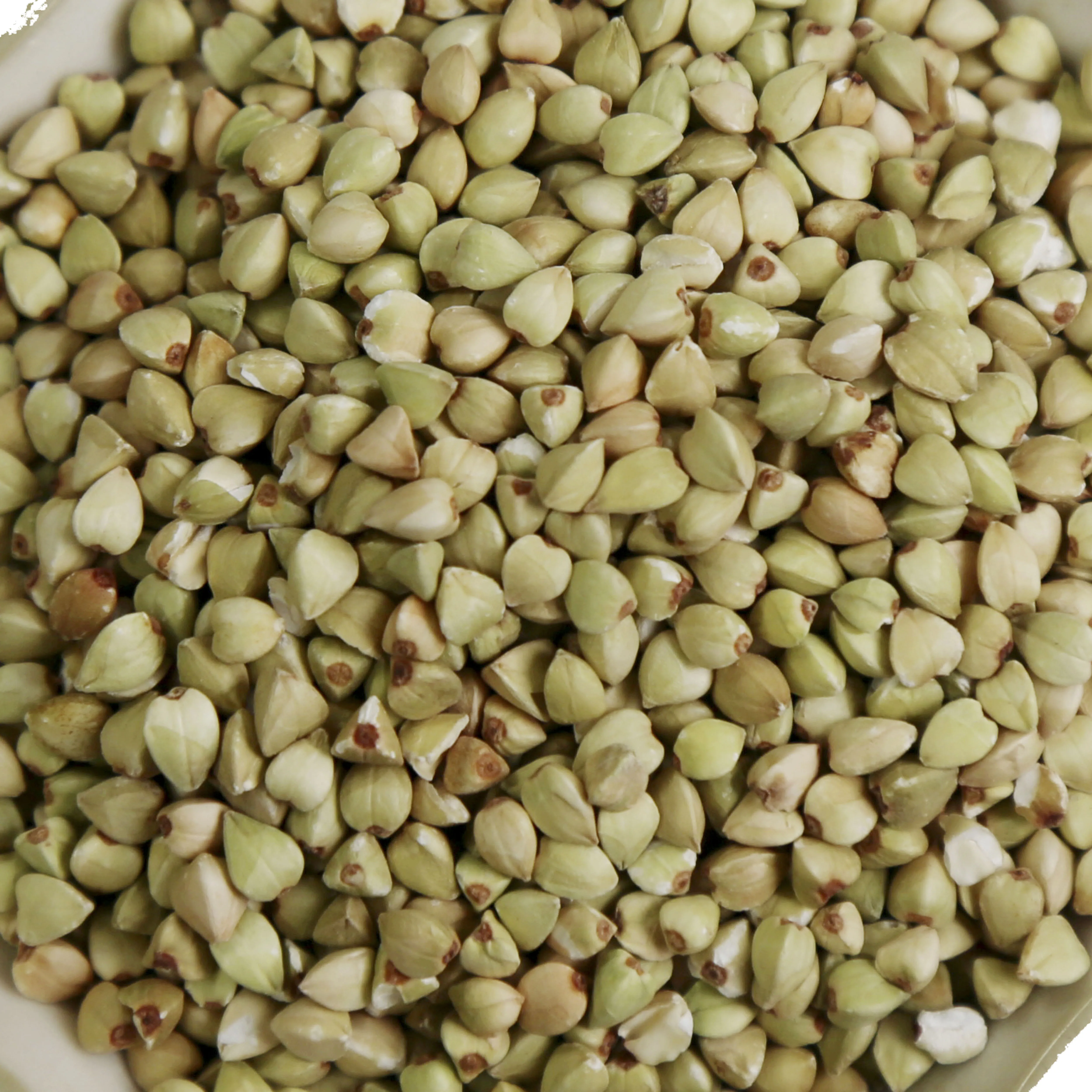 Chinese buckwheat good quality for human consumption