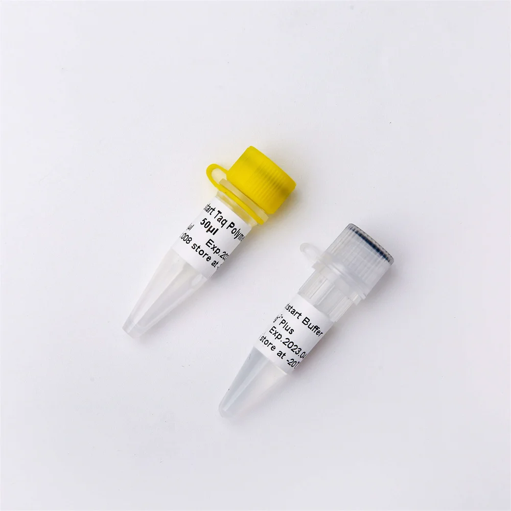 Hotstart Taq DNA Polymerase, PCR Test Reagent For DNA Amplification, Antibody Modified Enzyme P1091 500U