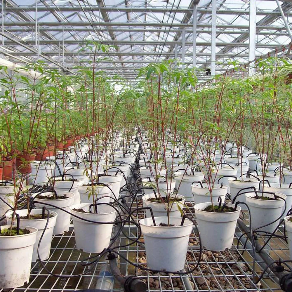 16-Branch Spider Arrow Dripper for Drip Irrigation System Watering & Irrigation Product