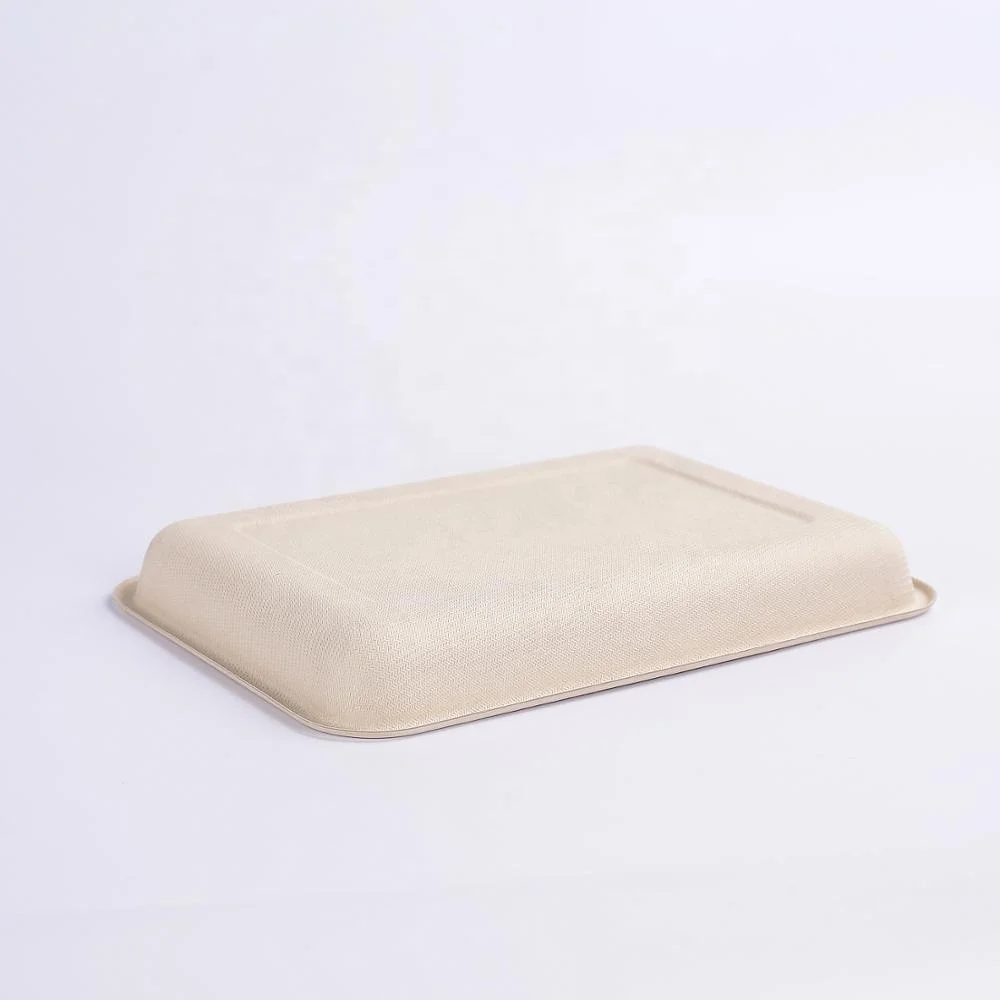 100% biodegradable 2D meat tray