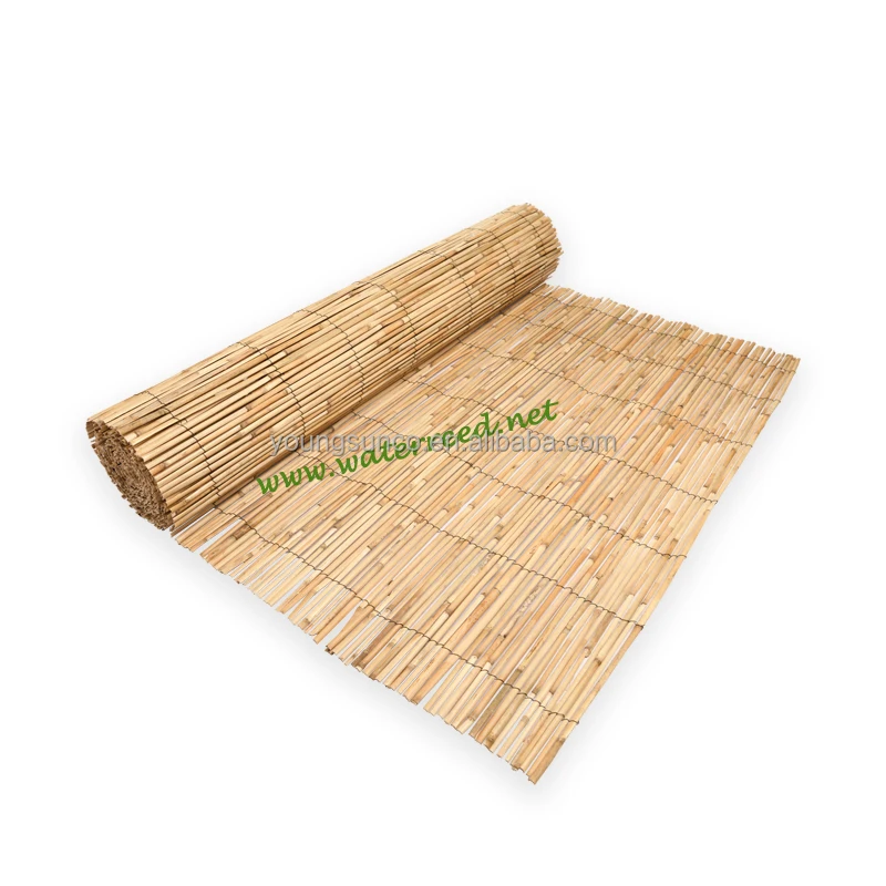 Natural yellow bamboo reed fence for gardening