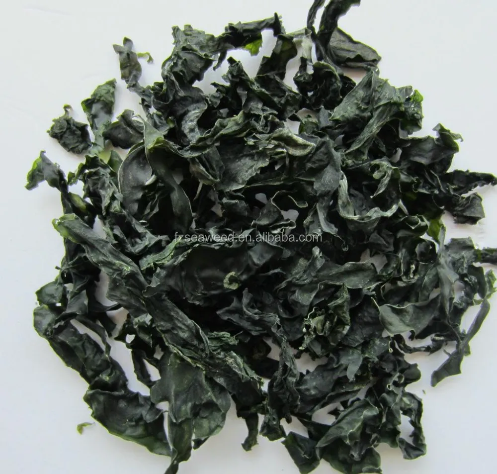 Factory price Fujian Origin high quality Fresh Seaweed dried laminaria Knot