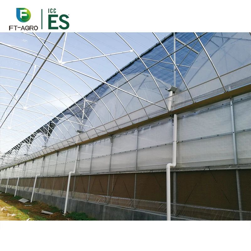 Однослойная и Большая теплица для гидропонного выращивания клубники, теплица для гидропоники