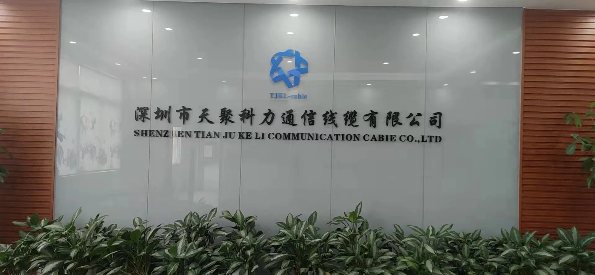 OEM hot selling lan communication cable Customizable length black color RG Series  for 5G