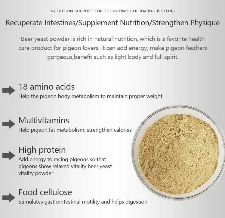 racing pigeon feeder bird pigeon growth promoter for poultry feed additives