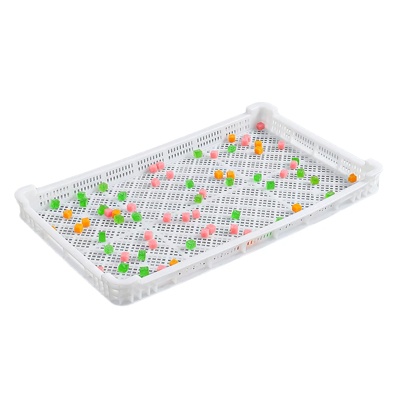 Food grade plastic drying tray for vegetables fruits and seafood
