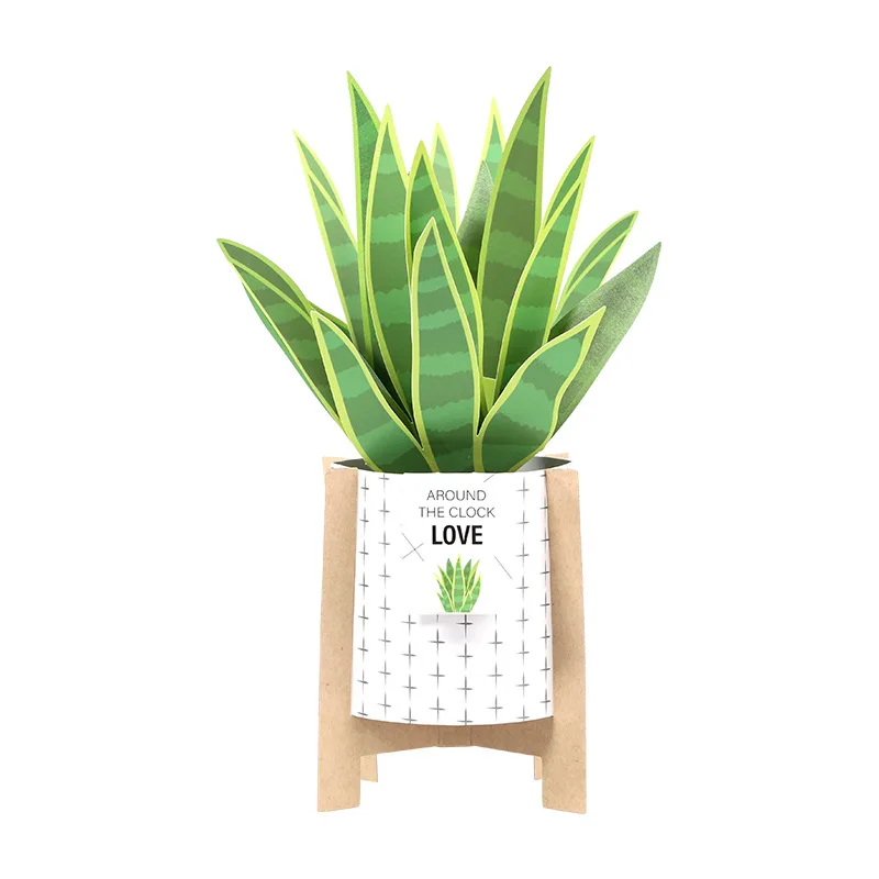 Zeecan Sansevieria trifasciata Prain The ins photo props bouquet flower handmade three-dimensional dried flowers greeting cards
