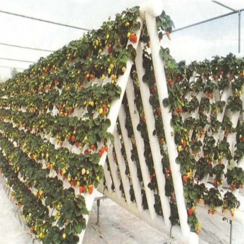 
Vertical Hydroponic Plastic Mesh Net Basket Vegetables Growing Systems 