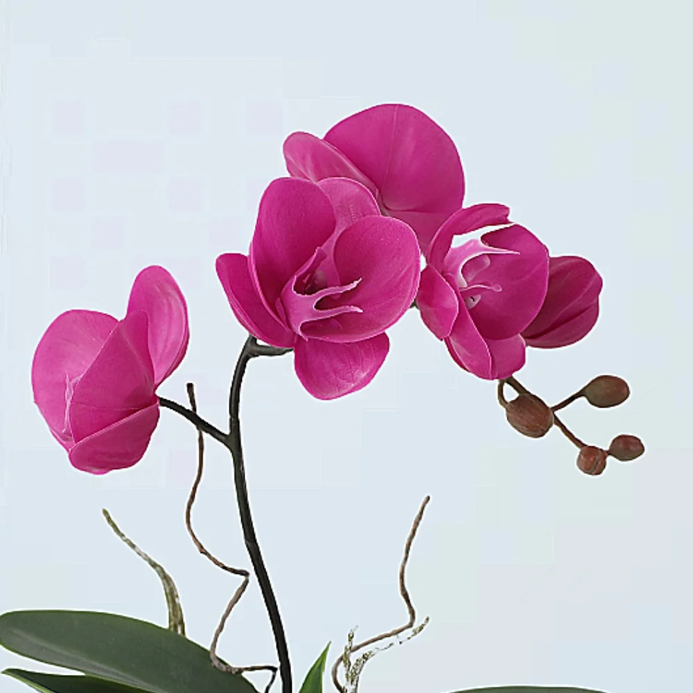 2024 Wholesale Potted Artificial Orchids Multiple Color Nice Faux Orchids in Pot for Home/Office Decoration