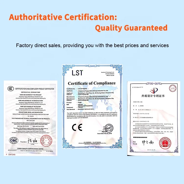 Topguy Embedded Intergrated Flitration System Automatic Flitration For Circulating Residential Swimming Pool