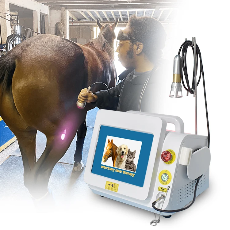 2023 top sale Great Hot Laser Products, Animal laser and veterinary use laser therapy instrument for horses, cats, dogs