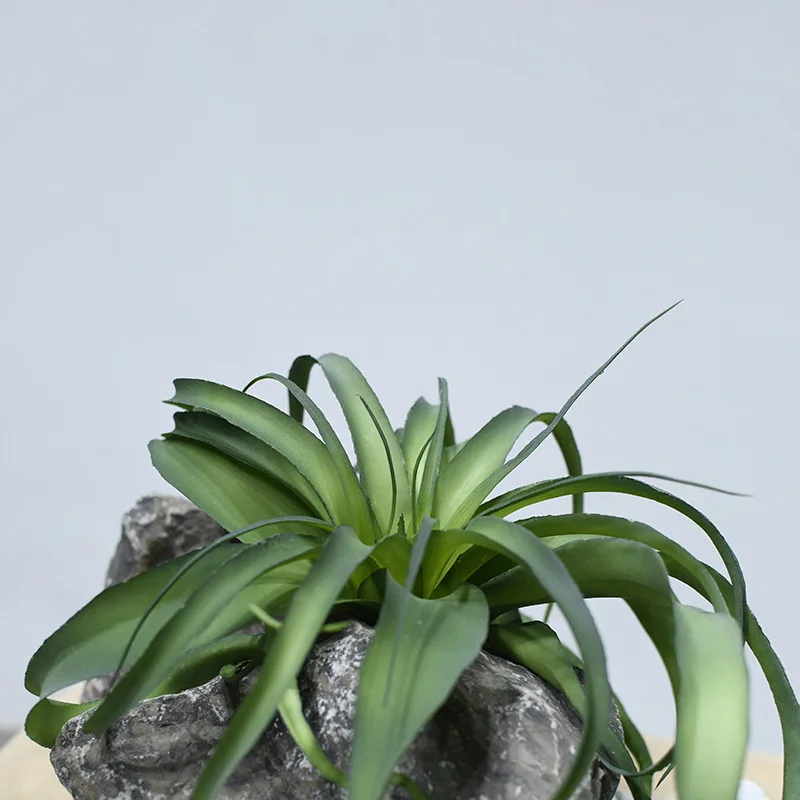 Simulation flocking air bromeliads large desert succulents Nordic decorative project cloth landscape collocation