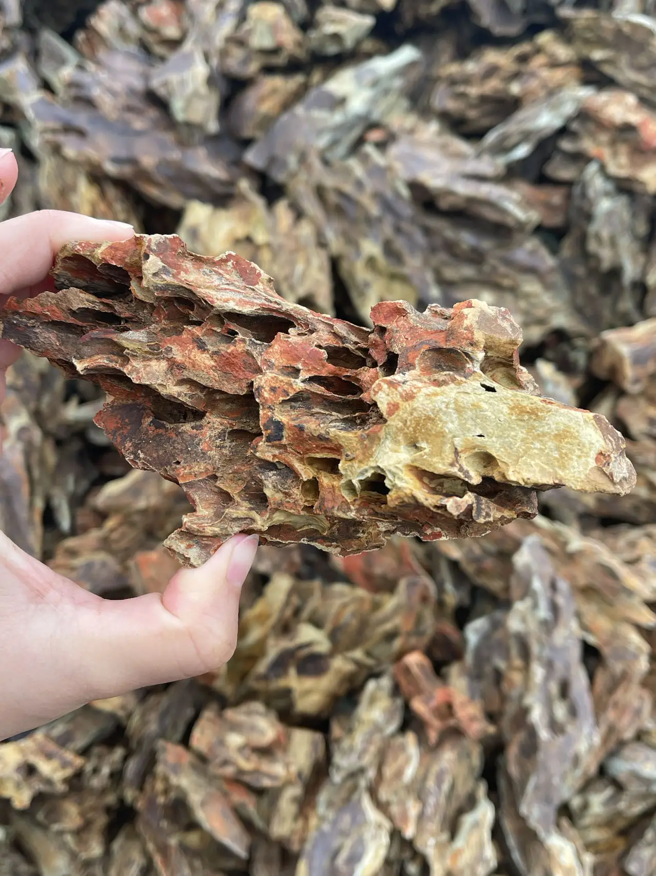 Landscape Dragon Stone Rock for Aquarium fish aquarium decoration