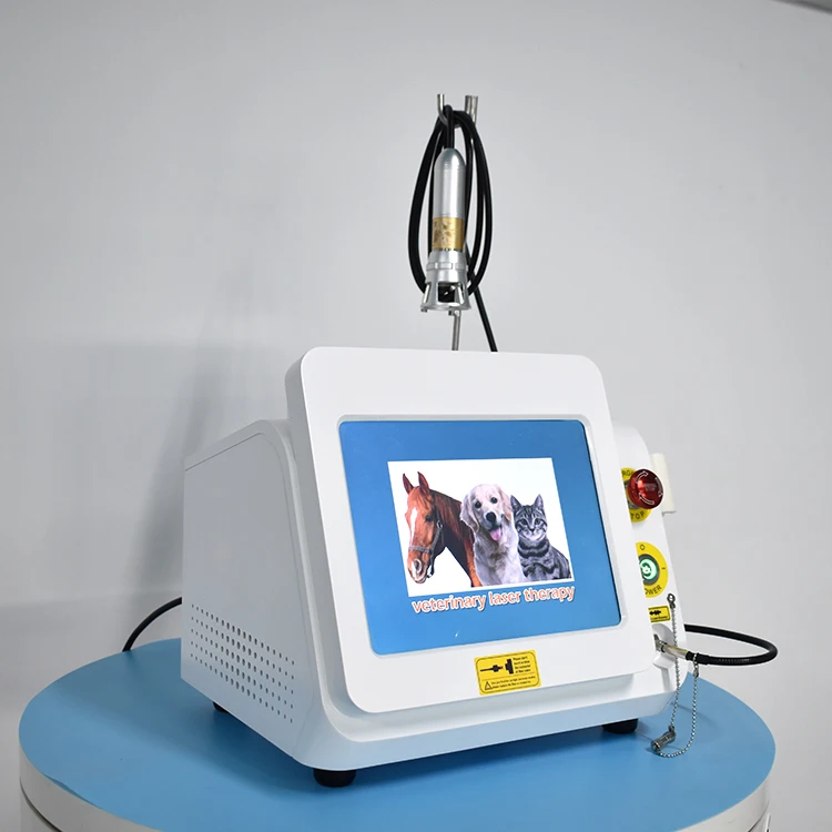2023 top sale Great Hot Laser Products, Animal laser and veterinary use laser therapy instrument for horses, cats, dogs