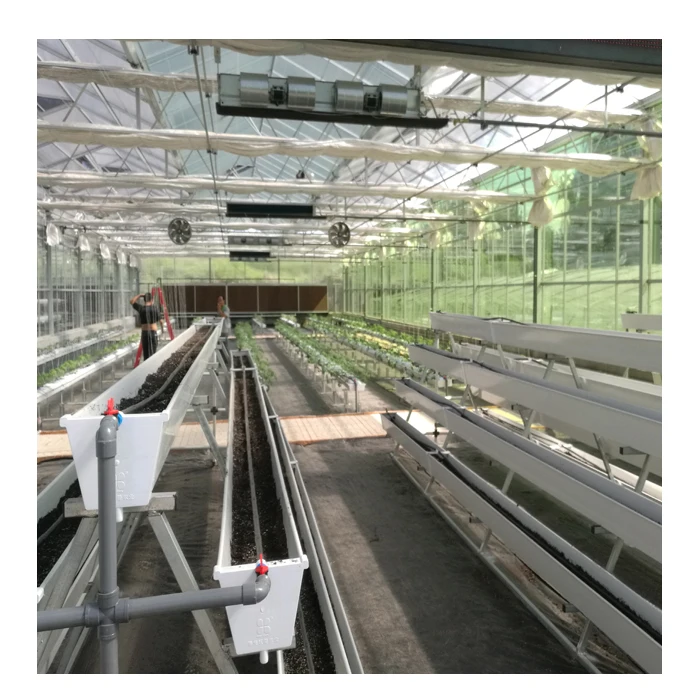 Agriculture Greenhouse Vertical Hydroponics Growing System for Strawberry