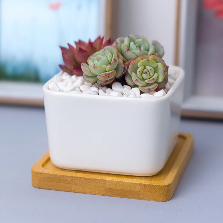 Custom white mini ceramic square succulent planter flower pot