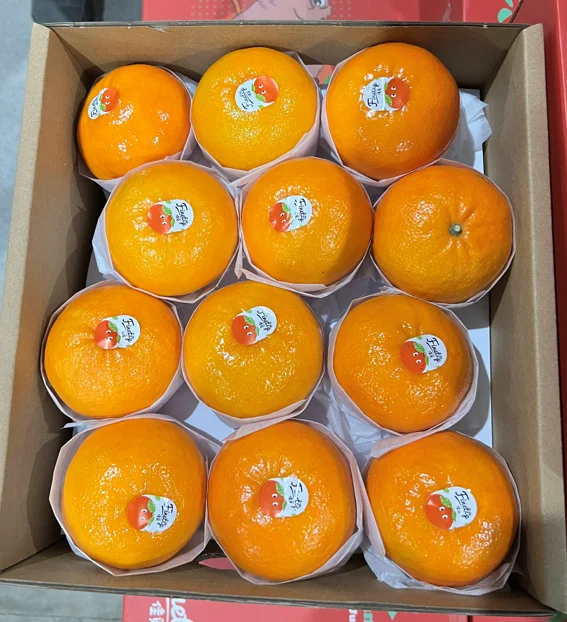 Factory New Citrus Orange New Crop Fresh Juicy Mandarin