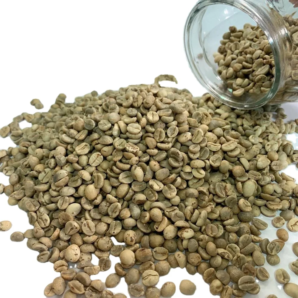Вьетнамский КОФЕ ROBUSTA Зеленые зерна высокое качество Лучшая цена