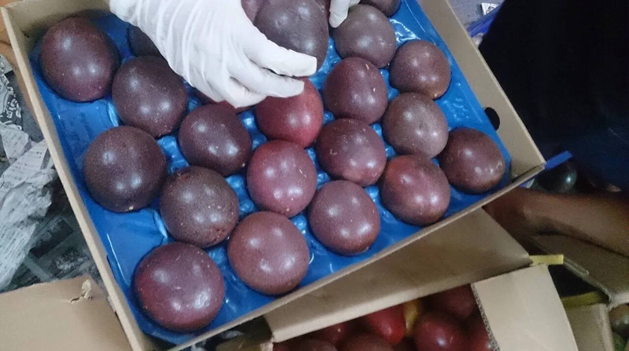 
Brix 15.5-17% Frozen Passion fruit best quality from Vietnam 