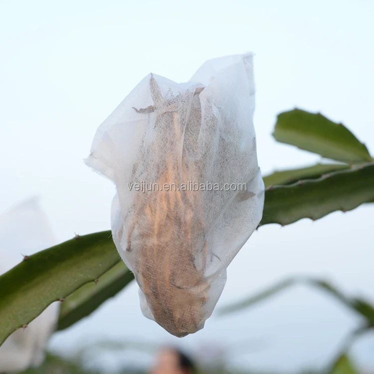 Supplies Wholesale Fruit Growing Protection Non Woven Mango/Grape/Banana Bag
