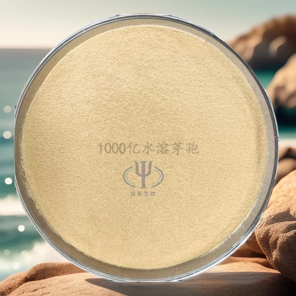 Wholesale 100 Billion Bacillus Subtilis Probiotics for Fish Aquaculture Effective Intestinal Regulator