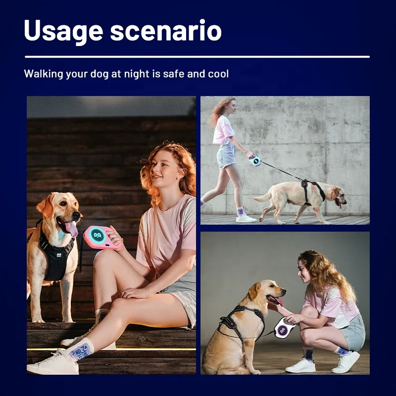 2024 New Dog Leash Light Up Flexible Accessories Bright Flash Walking Belt Nylon Automatic Pets Dog Lead Leas