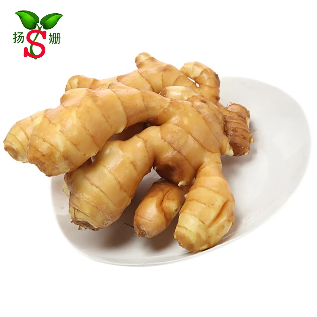 High quality ginger  yellow ginger  Professional Export to Singapore