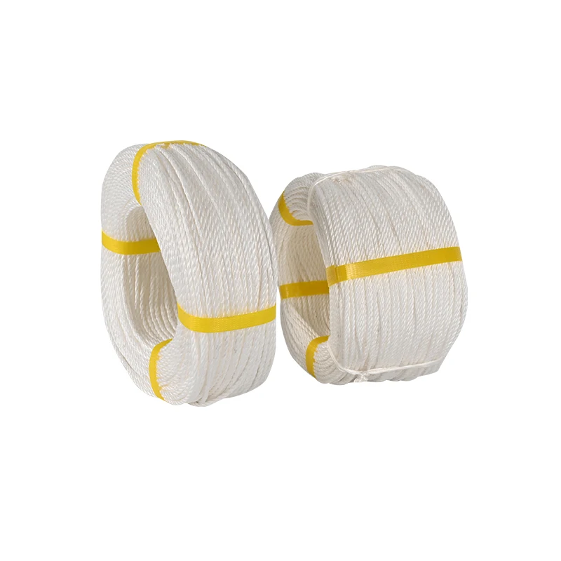 China Made 200YARDS Polypropylene Danline Rope For Fishing Marine Agriculture
