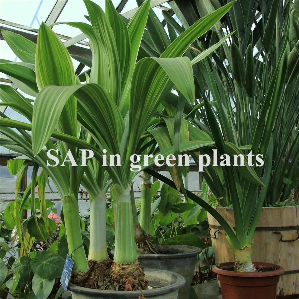 Manufactures best price china potassium polyacrylate super absorbent polymer hydrogel sap retaining water for agriculture