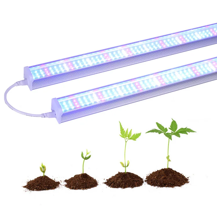 
Chinese Supplier wholesale 1200mm led grow light for dragon fruit full spectrum plant tissue culture led grow light 