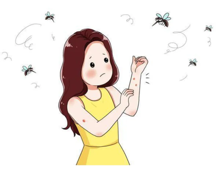 Insecticide essential oil summer natural plant essential oil repel mosquito insect control