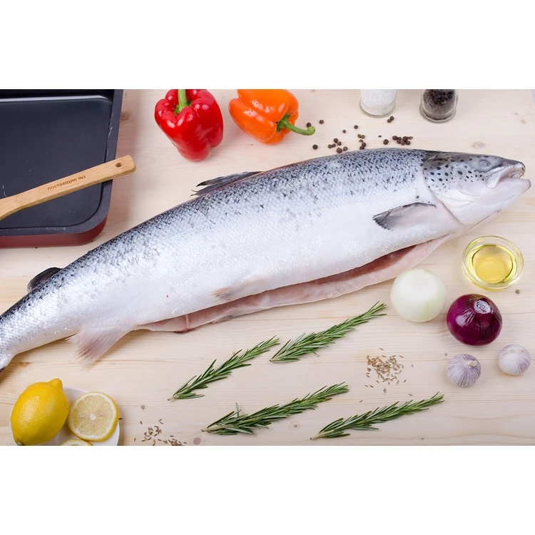 Farmed Atlantic Salmon