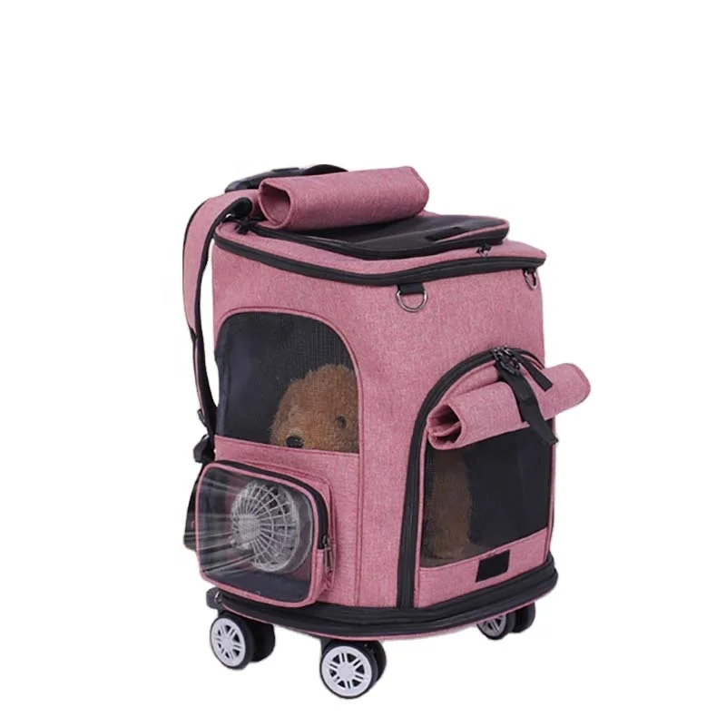 Cat Carrier Backpack Small Medium Dog Transportation Walking Bags Expandable Scalable Foldable Breathable Large Capacity for Pet