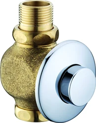 Flush Valve Concealed Manual Water Closet Flush Valve Push Button Toilet Flushing Valve