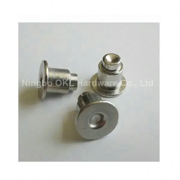 Inox 304/316 Stainless Steel Solid Rivet for Furniture