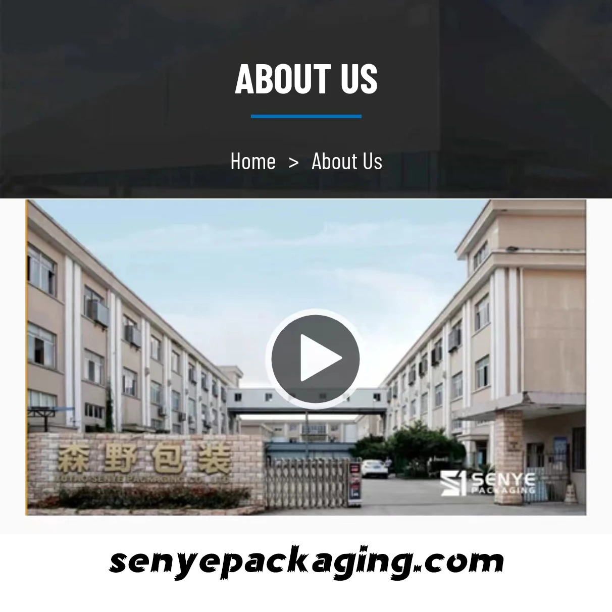 24 мм горлышко 30 г ПЭТ Преформа косметическая бутылка хорошая Pla Pcr преформа