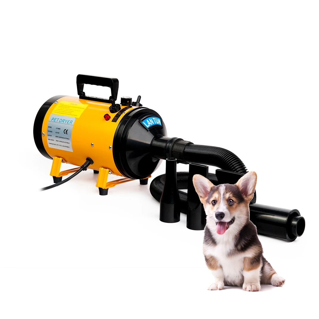 Wholesale manufacturer heating adjustable speed three nozzles grooming cat dog hair dryer pet dryer