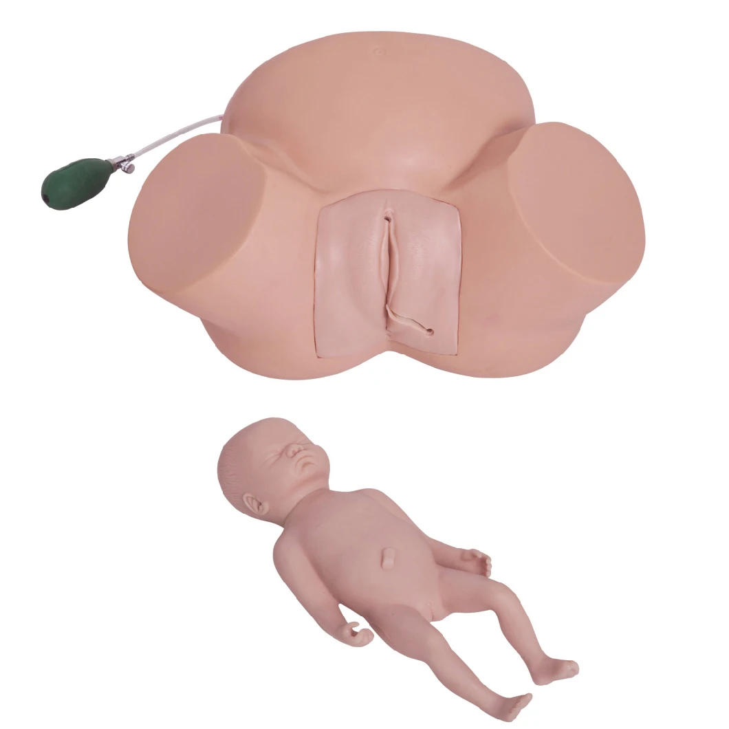 Medical Midwifery Training Model Difficult Labor Model Advanced Dystocia Simulator