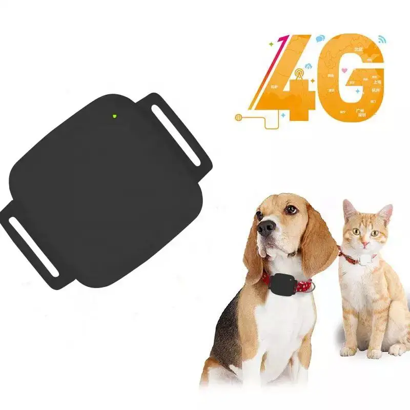 4G Pet GPS Tracker Real Time Tracking Geo Fence Collar Cut Alert Solar Powered Cow Tracking Device For Dog Cat