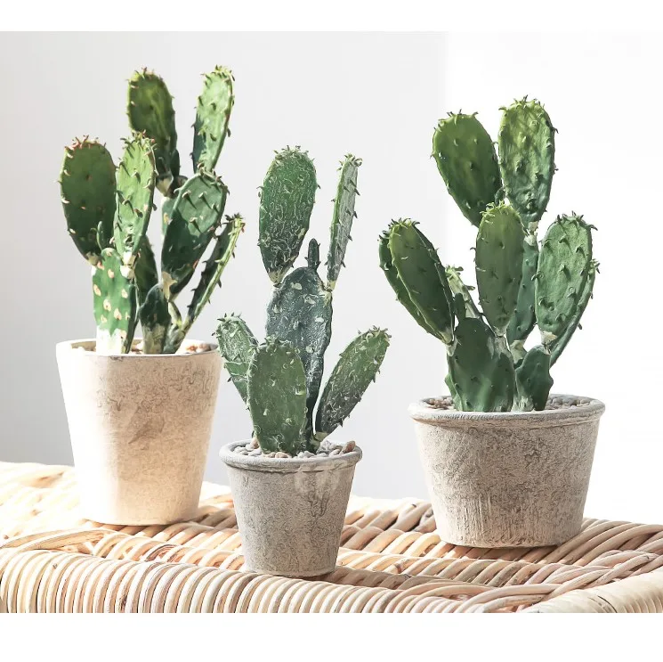 Y-O017 INS пластиковые искусственные зеленые растения Искусственный суккулент мини декоративные горшечные Искусственные суккуленты для офиса