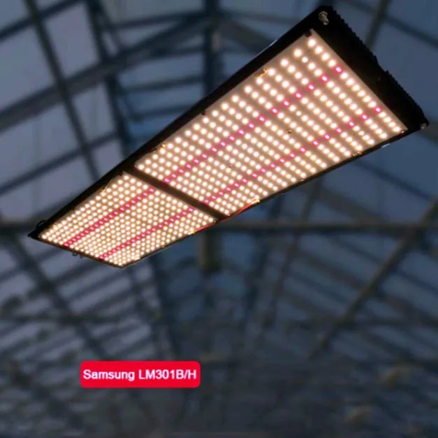 Meijiu печатная плата Lm301h теплый белый Тепличный Садоводство colir 660 нм 240 Вт Светодиодная лампа для выращивания растений в наличии в США