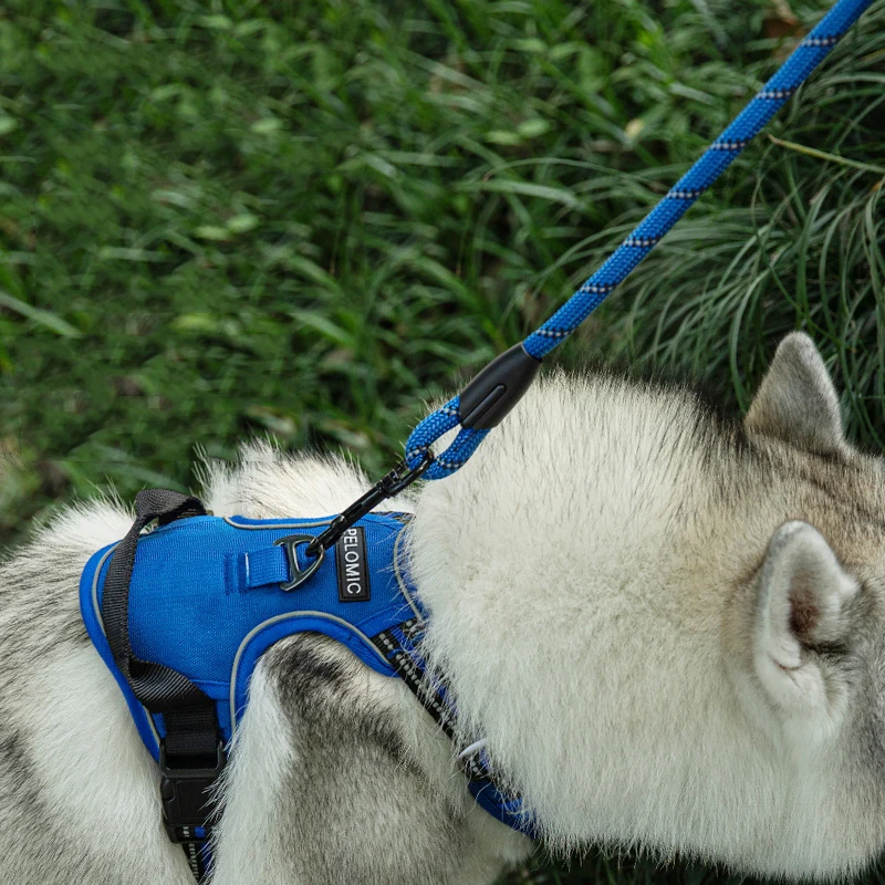 
Collars Accessories Release Pet Products Small Medium Travel Bulldog Goods Animals Leash Dog 