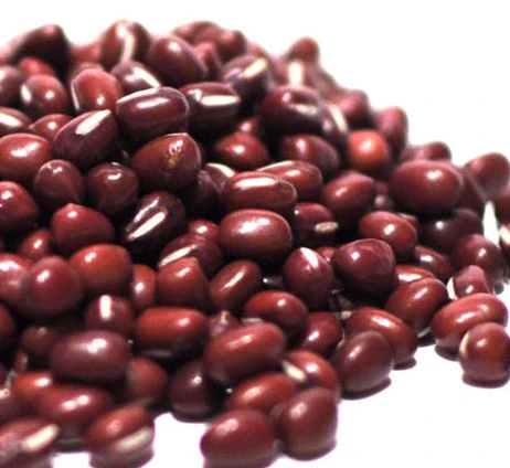 Green Mung Beans / Cowpea/ Azuki Beans/ Moong Dal
