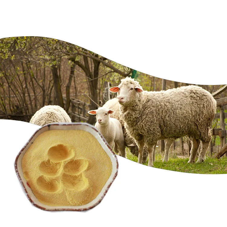 10000U/g Фермент глюкозоксидазы для улучшения питания свиней и овец, кормовые добавки для животных