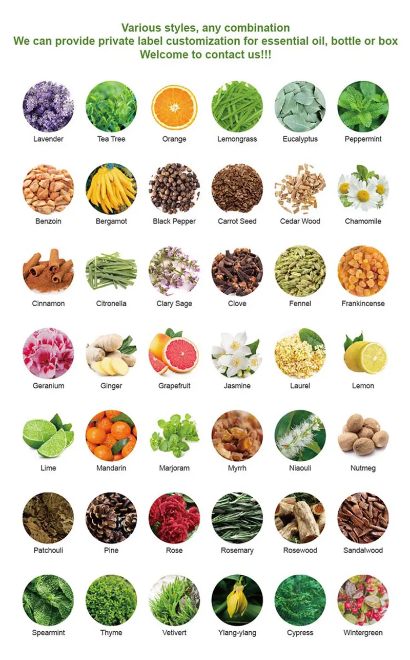 New Arrival Private Label 100% Pure Natural 4pcs Essential Oils Lavender Tea Tree Sweet Orange Peppermint Essential Oil Set