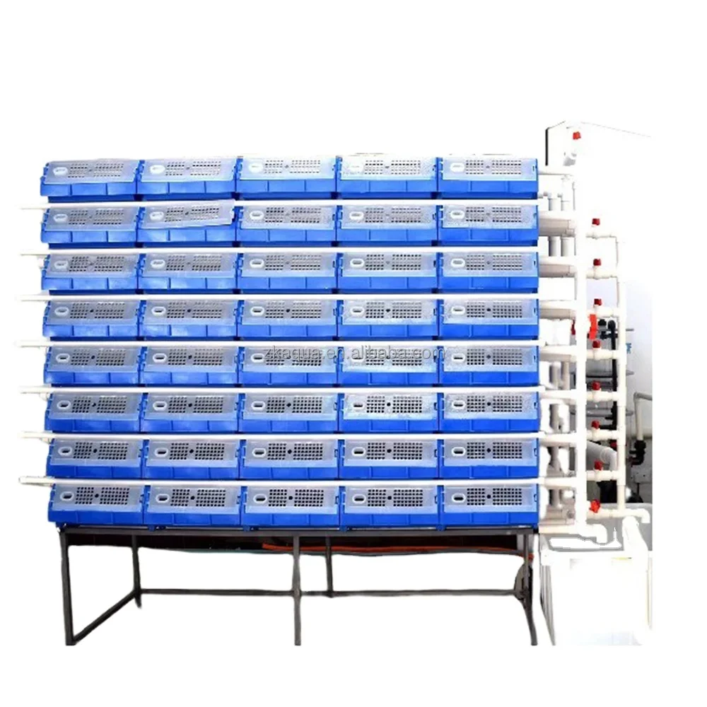 Aquaculture  recirculating   RAS system for crab farming high quality equipment