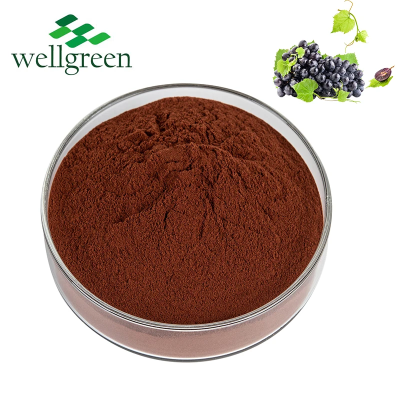 Factory Supply Procyanidine Grape Seed Extract OPC Proanthocyanidins High Quality Grape Seed Extract