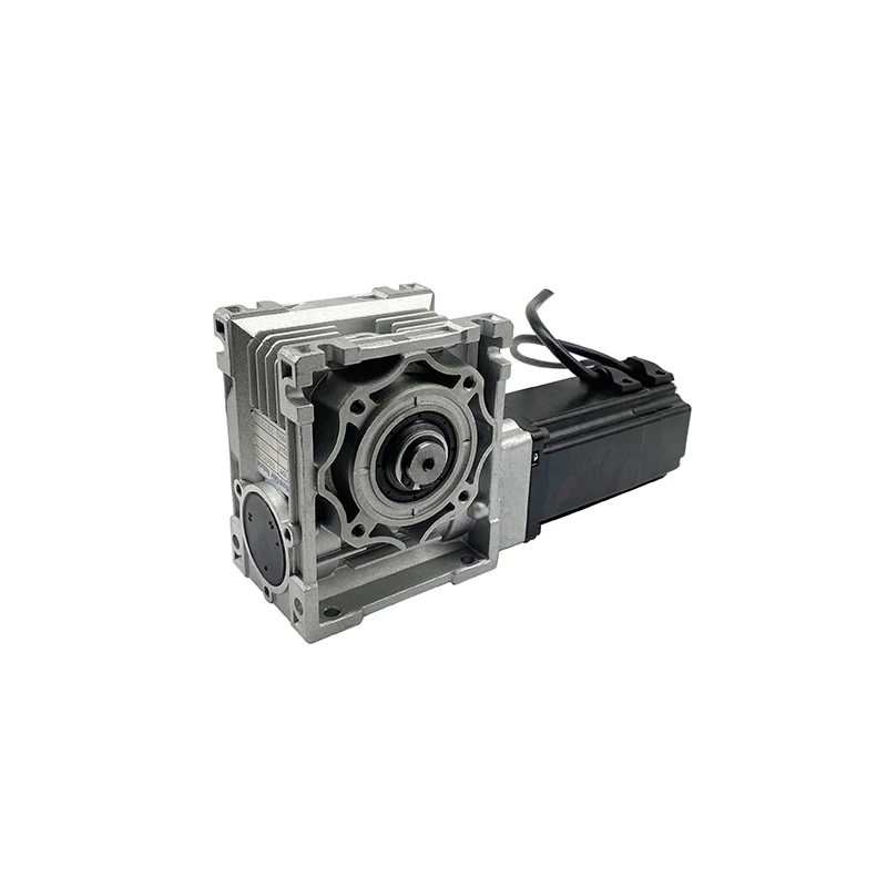 Bldc Motor With Worm Gearbox High Torque 24V 36V 48V Dc Motor Brushless Worm Gear Motor